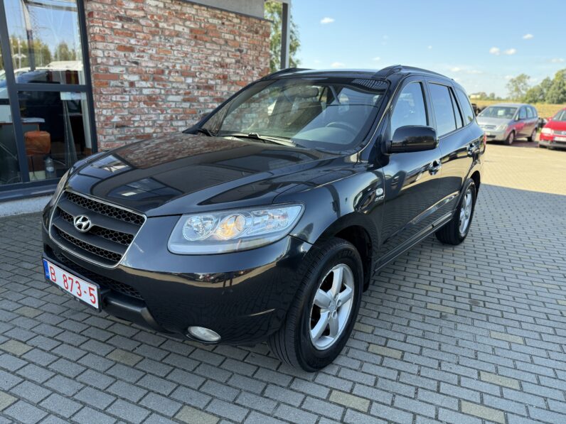 
								HYUNDAI SANTA FE pilns									