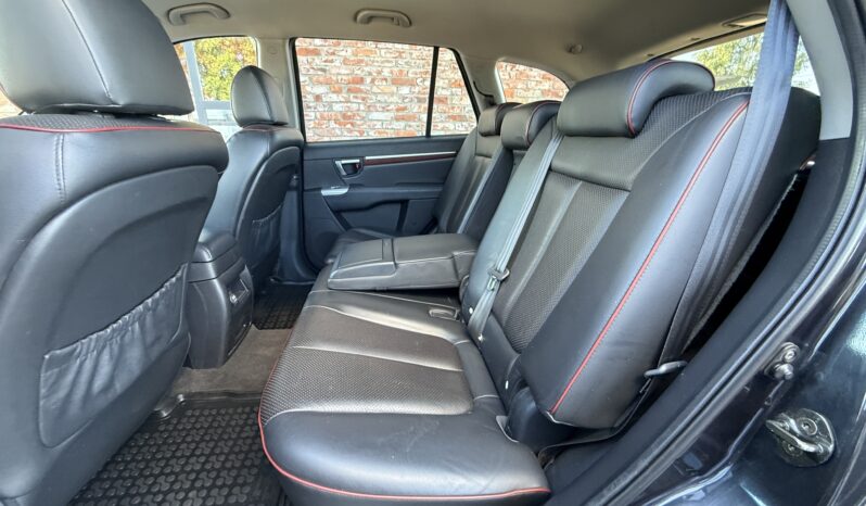 
								HYUNDAI SANTA FE pilns									