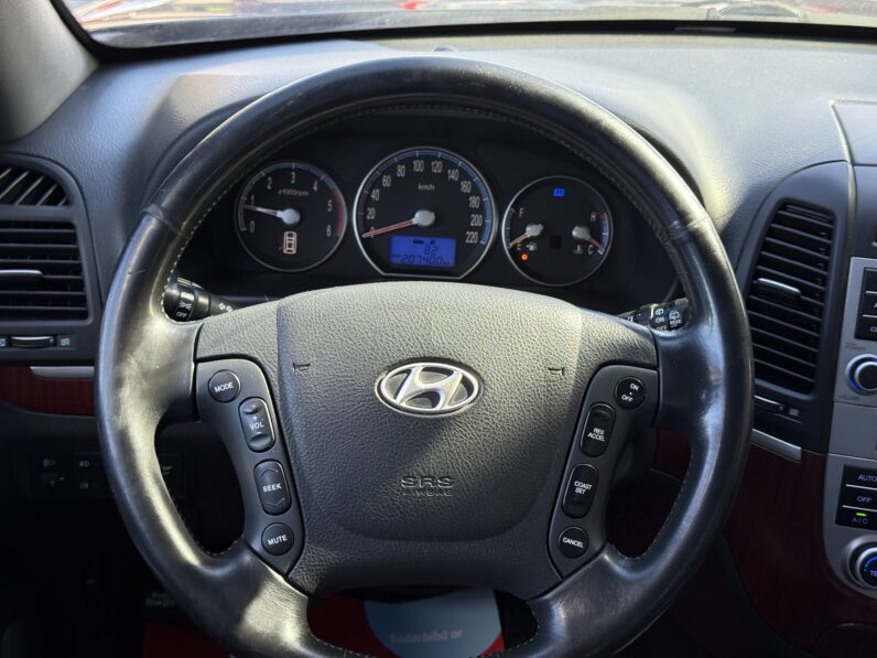 
								HYUNDAI SANTA FE pilns									